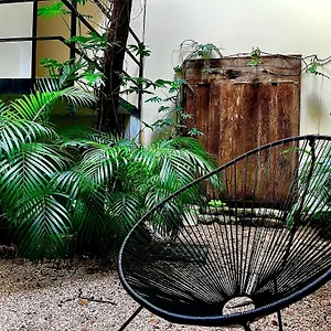 Una Luna Confortable Studio-adults Only México
